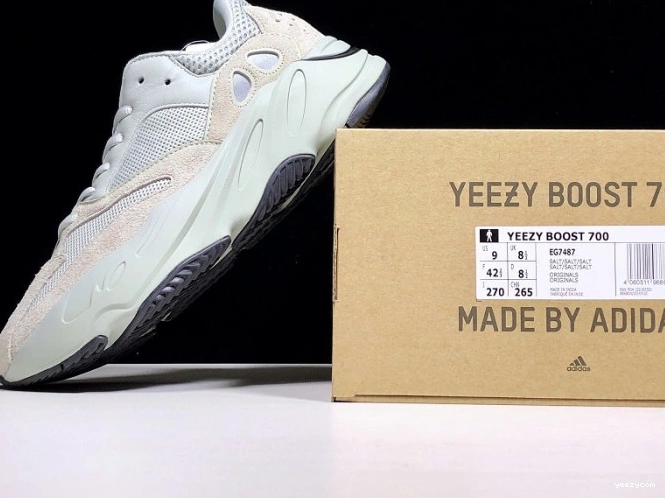 Salt EG7487 v2 Adidas Boost Yeezy 700 0822